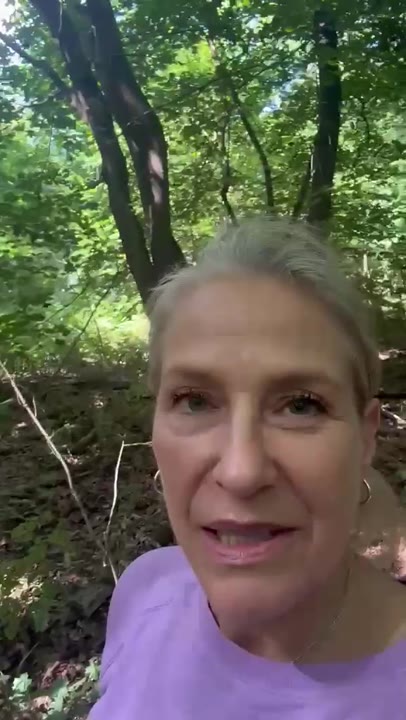 Videostimme von Gefa
